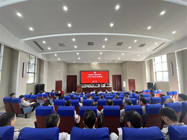 公司召开2025年会暨2024年度先进表彰会